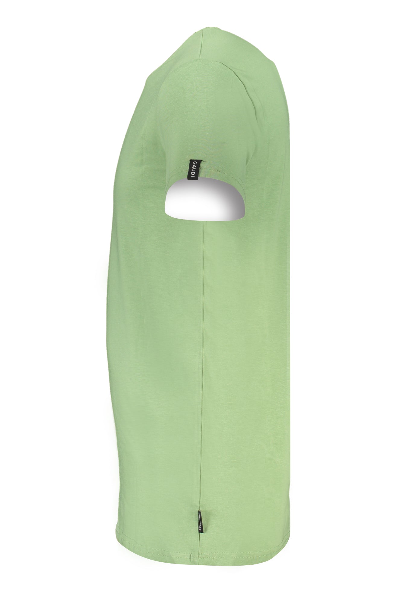 GAUDÌ GAU1UTS02_VESAGE