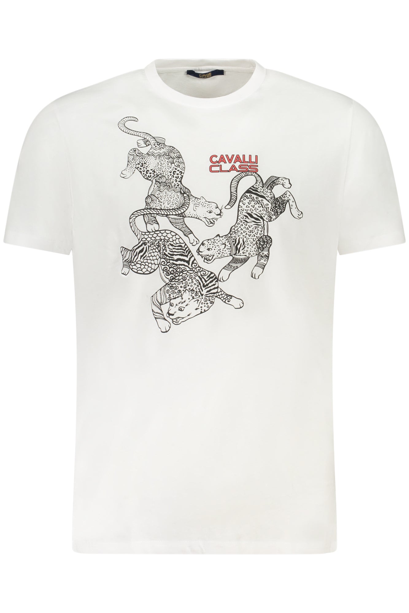 CAVALLI CLASS T-SHIRT