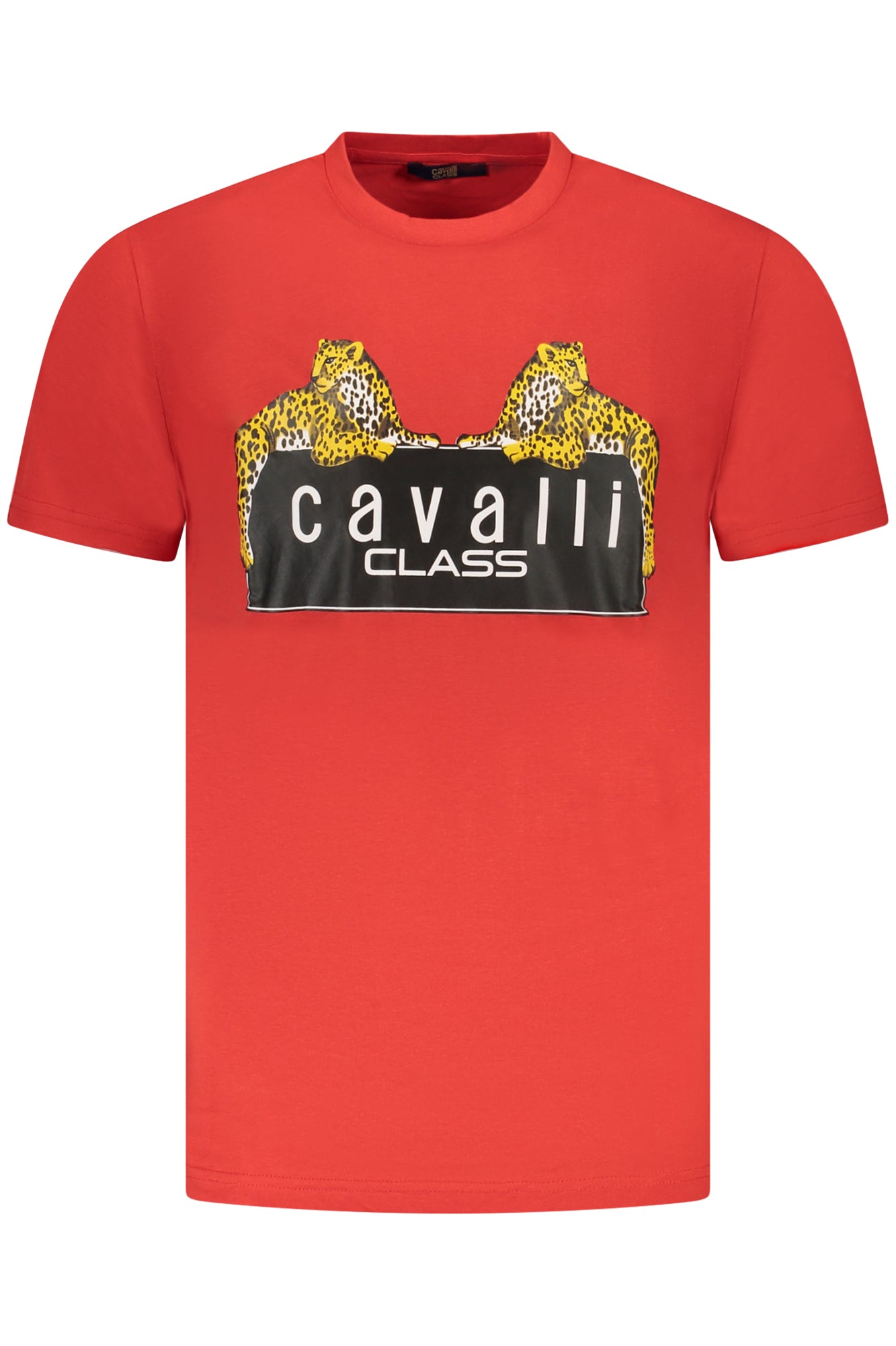 CAVALLI CLASS T-SHIRT